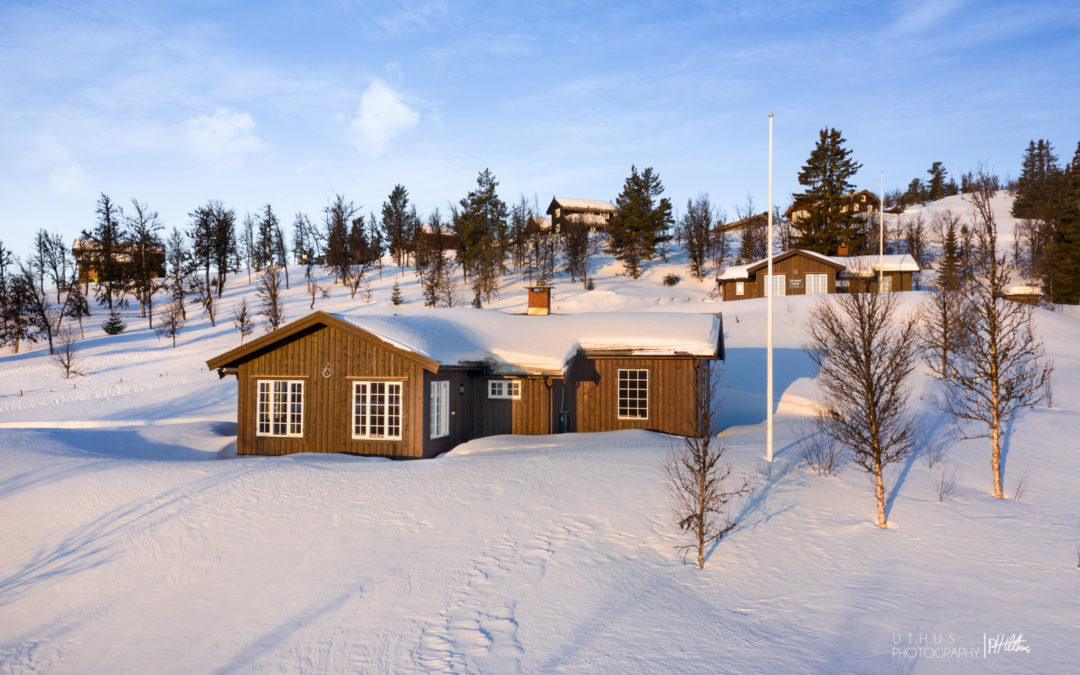 Visning første helgen i Juli