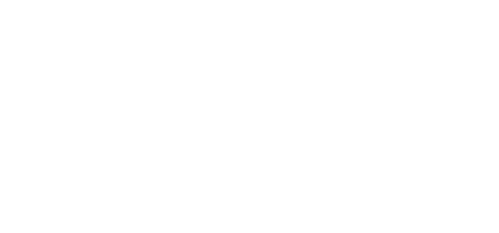 Logo Fjellmegleren&eiendomsmegleren HVIT
